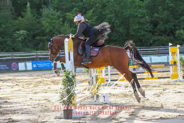 DKP45174 | Turnierfotos kaufen im Webshop von Daniel Kuhl Photography – entdecke professionelle Reitsportfotos aus Turnieren & Events. Hochwertige Turnierbilder online bestellen & sichern. Jetzt Fotos von Reitsportturnieren kaufen!