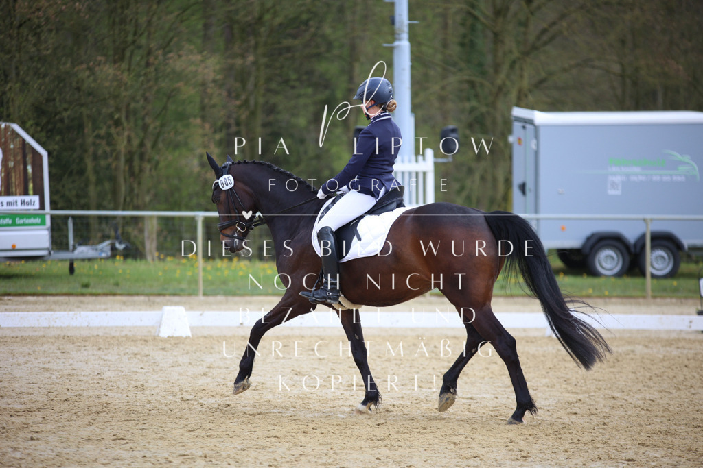 IMGT6064 | pl-fotografie