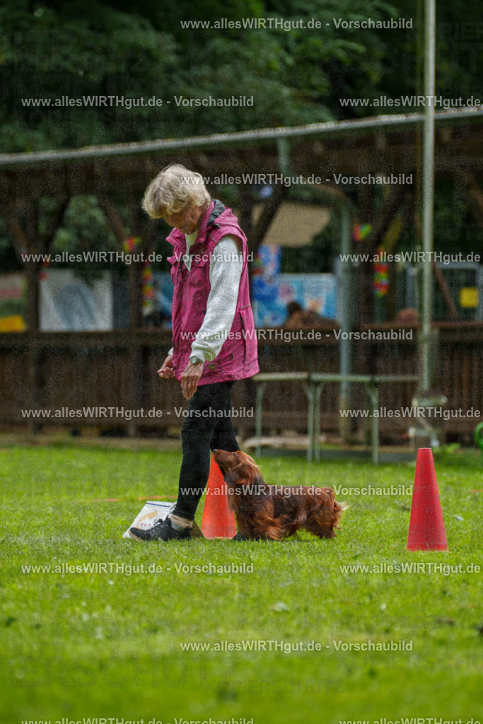 @allesWIRTHgut_Tierfotografie - www.allesWIRTHgut.de - 090935-7R506620 | Professionelle Tierfotografie in Mönchengladbach von Daniel Wirth (allesWIRTHgut). Liebevolle & natürliche Bilder von Hunden & Katzen für unvergessliche Erinnerungen.