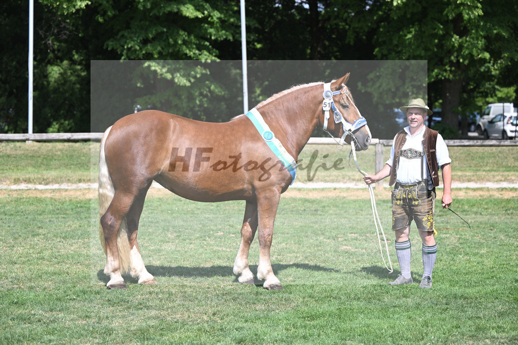 Kat-Nr. 51 Finesse G_Grandauer_20231319 | hf-fotografie - Realisiert mit Pictrs.com