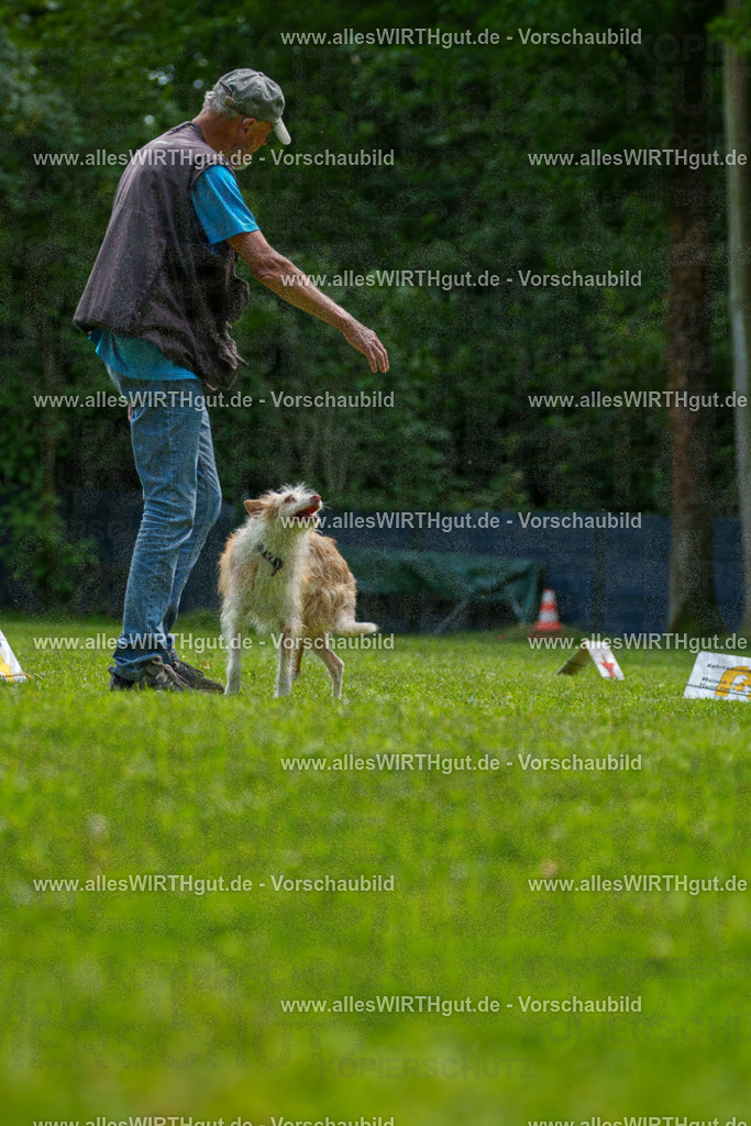 @allesWIRTHgut_Tierfotografie - www.allesWIRTHgut.de - 7R505520 | Professionelle Tierfotografie in Mönchengladbach von Daniel Wirth (allesWIRTHgut). Liebevolle & natürliche Bilder von Hunden & Katzen für unvergessliche Erinnerungen.