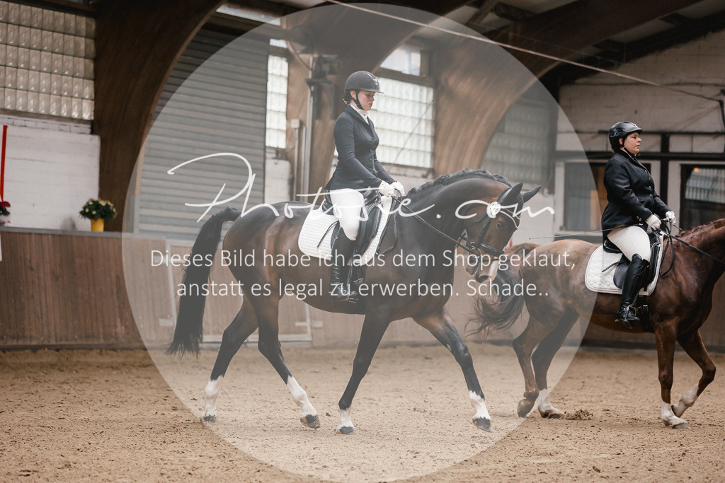 3I6A7159 | Stimmungsvolle Portraits und Reitsportfotografie im Ruhrgebiet und im Münsterland.

Pferdefotografie, Hundefotografie, Tierfotografie, Reportagen, Portraits von Tier und Mensch, Turnierfotografie in Bochum, Recklinghausen, Marl, Haltern am See, Dülmen.. - Realisiert mit Pictrs.com