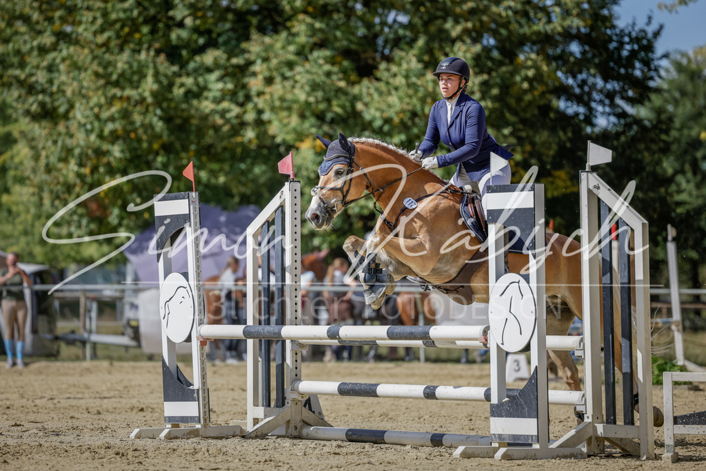 20250906-_3LI6368 | Tierfotografie Pferde, Hunde, Katzen, Haustiere.
Turnierfotografie Reitturniere, Reiten, Springreiten, Dressur in Hanau, dem Main-Kinzig-Kreis und dem Rhein-Main- Gebiet um Frankfurt