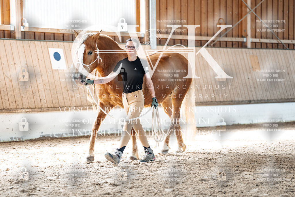 CK905923 | Turnierfotografie Pferdefotografie Trier Rheinland-Pfalz Pferdesport Reitsport Tierfotografie Sportfotografie Pferdevideo Pferdevideografie Equestrianvideography equestrianphotography  - Realized with Pictrs.com