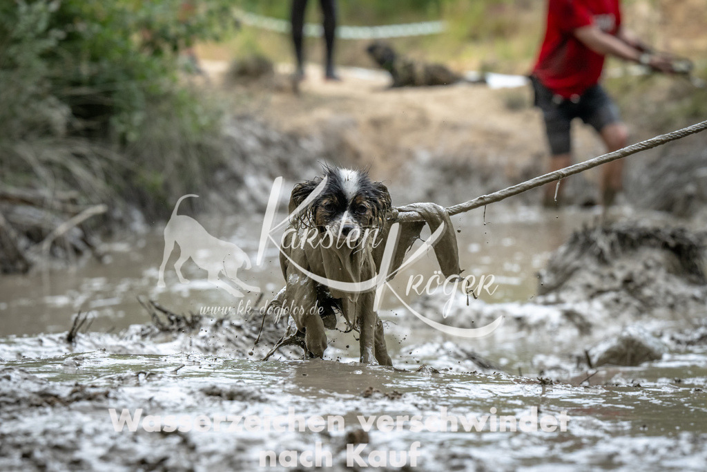 1458_ZZ91911 | kk-dogfotos