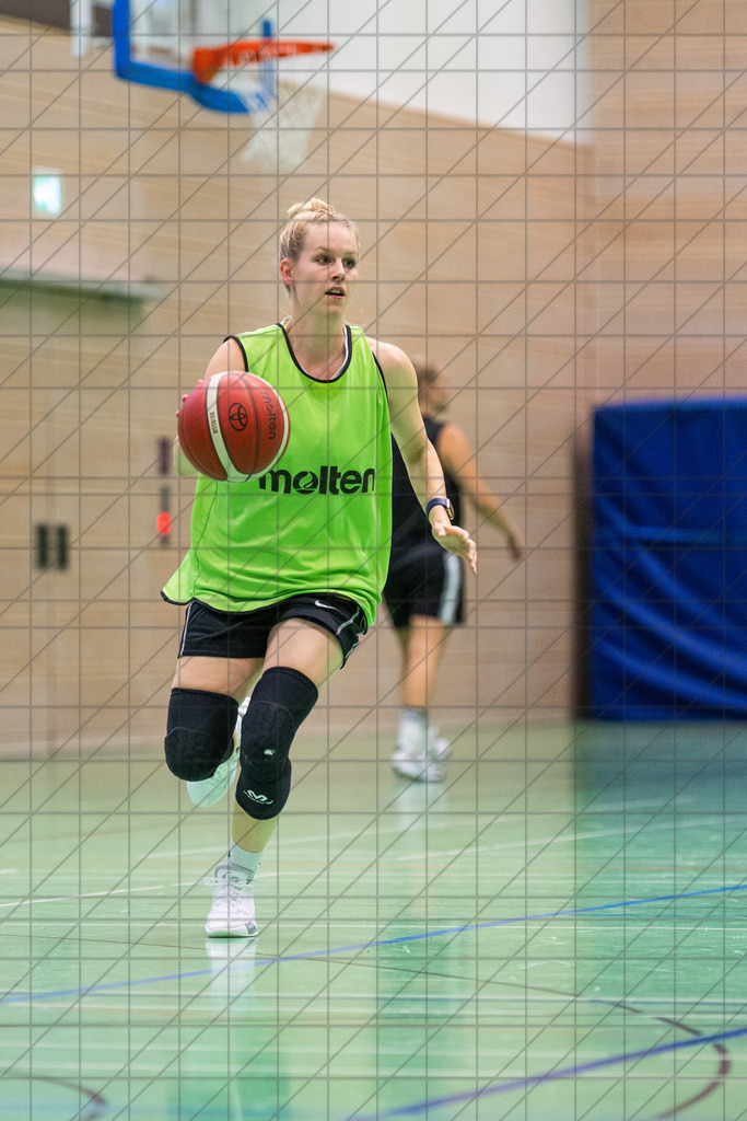 2. DBBL Nord 25/26 | BBC Osnabrück Trainingsimpressionen | //  02.09.25: 2. DBBL Nord 25/26 | BBC Osnabrück Trainingsimpressionen / Osnabrück / Deutschland  //   CREDIT:www.bullenfotos.de, Martin König, Hörner Weg 40, D-49078 Osnabrück, +4917663732967 // Nutzung und Weitergabe nur zu den vereinbarten Zwecken. Presseanfragen an Ersteller. Alle Rechte beim Ersteller. Honorierung nach MFM. - Realisiert mit Pictrs.com