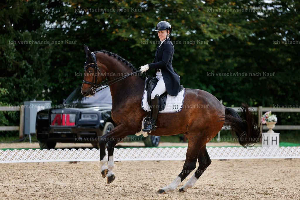 11-091-Dressur S___-StoibPH-1283 | working equitationturnier fotograf videograf stoibphotography marixx film working equitation deutschland reitsport turnierfotografie eventfotografie equestrian events