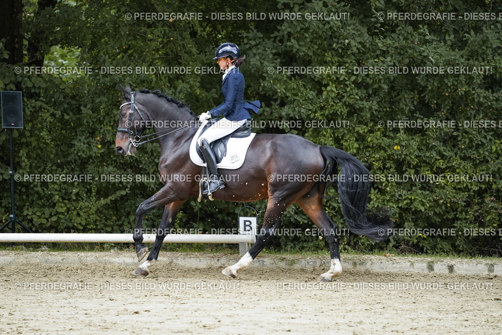 DSC00682 | Pferdegrafie