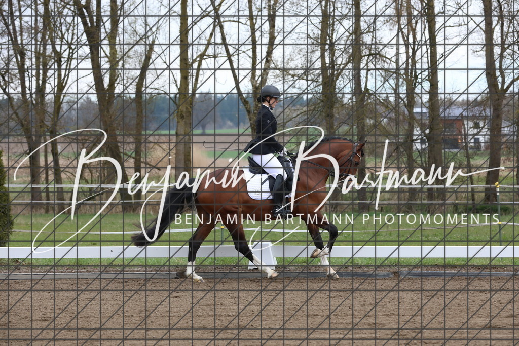 AZ2A3974 | Benjamin Bartmann Photomoments