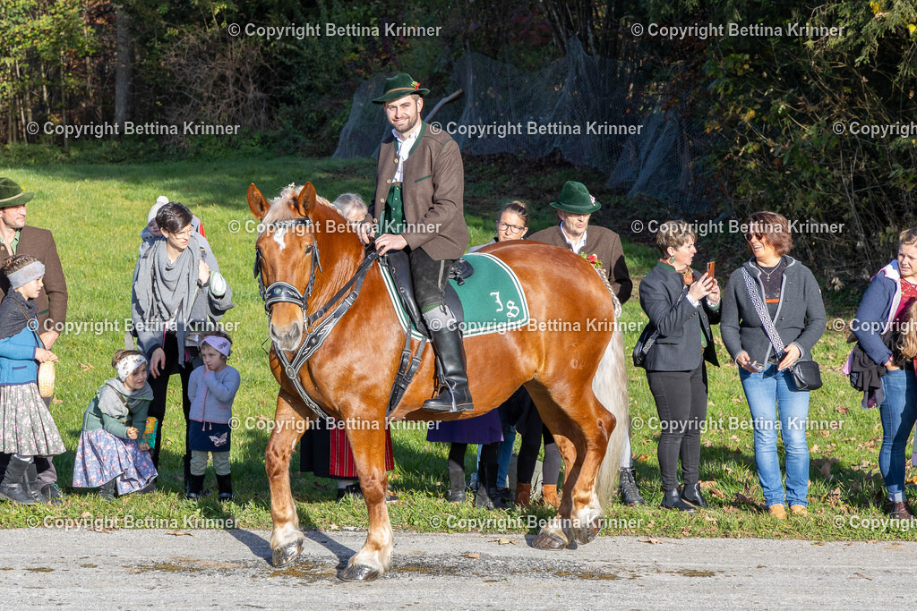 LBT24-221 | foto-bettina-krinner - Realisiert mit Pictrs.com