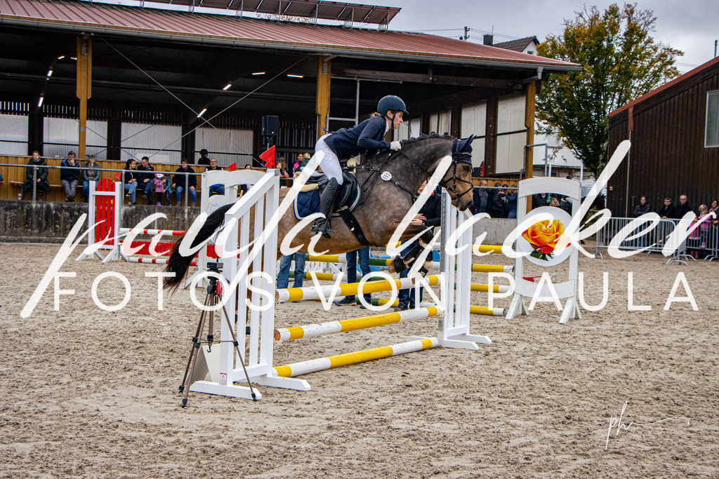 IMG_3871 | Erleben Sie dynamische Sport- und emotionale Tierfotografie in Süddeutschland mit Fotos von Paula. Spezialisiert auf Pferde- und Hundefotografie sowie Sportevents. Kontaktieren Sie mich für einzigartige und ausdrucksstarke Bilder Ihrer besonderen Momente. - Realisiert mit Pictrs.com