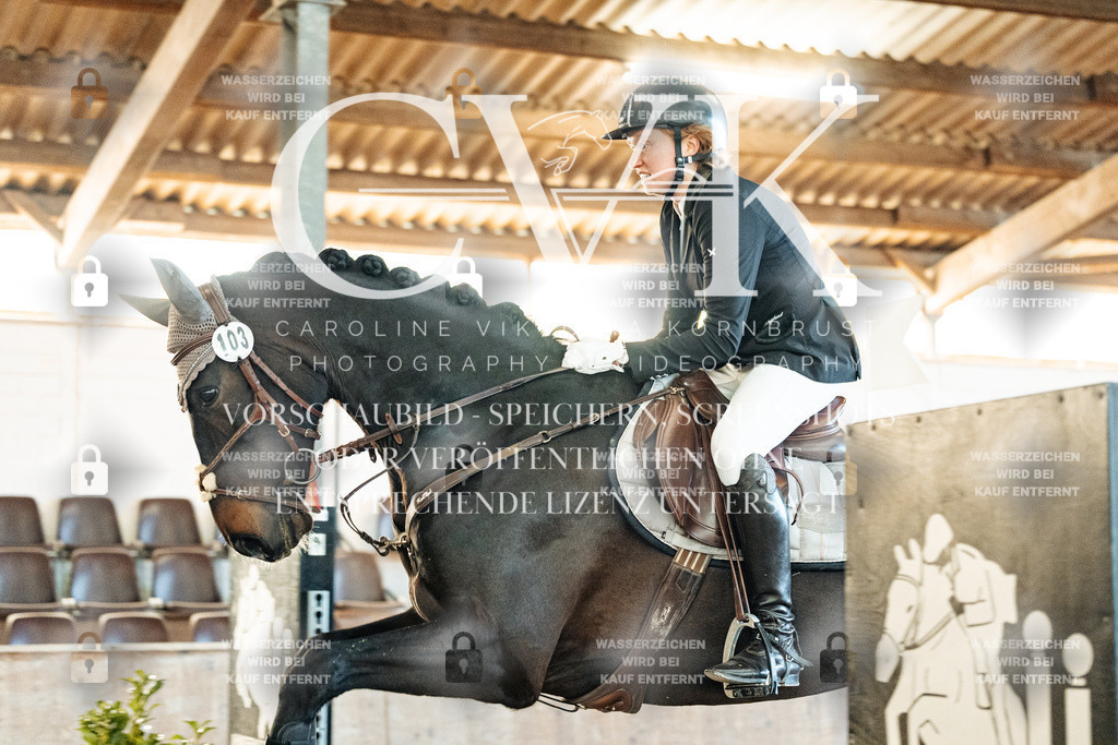 CK903878 | Turnierfotografie Pferdefotografie Trier Rheinland-Pfalz Pferdesport Reitsport Tierfotografie Sportfotografie Pferdevideo Pferdevideografie Equestrianvideography equestrianphotography  - Realisiert mit Pictrs.com