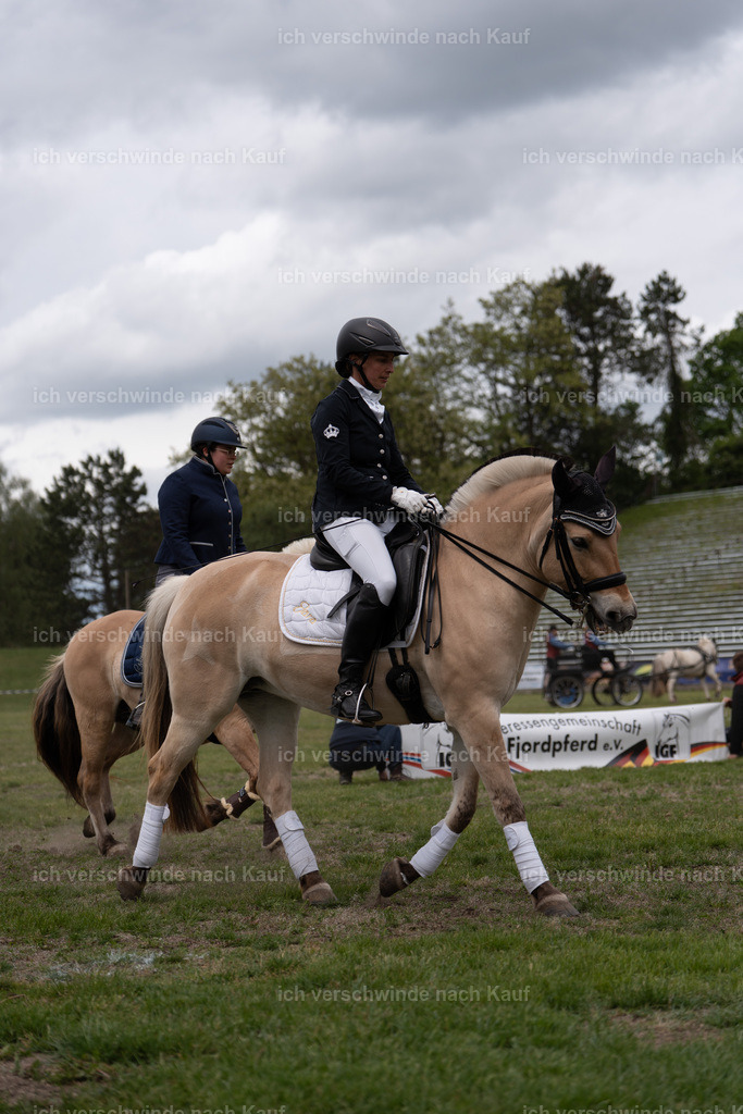 PI26_show_Jan_Picutures7C_06155.jpg | working equitationturnier fotograf videograf stoibphotography marixx film working equitation deutschland reitsport turnierfotografie eventfotografie equestrian events