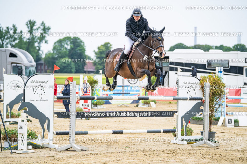 DSC09051 | Pferdegrafie