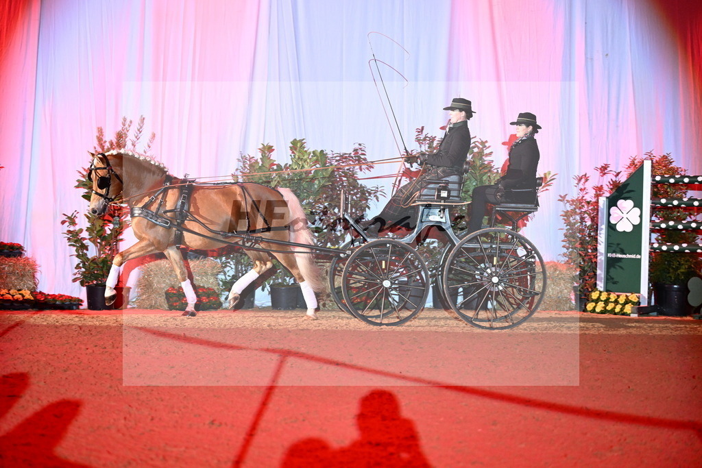 DSP_Avici_As_Karosser_2254541 | hf-fotografie - Realisiert mit Pictrs.com