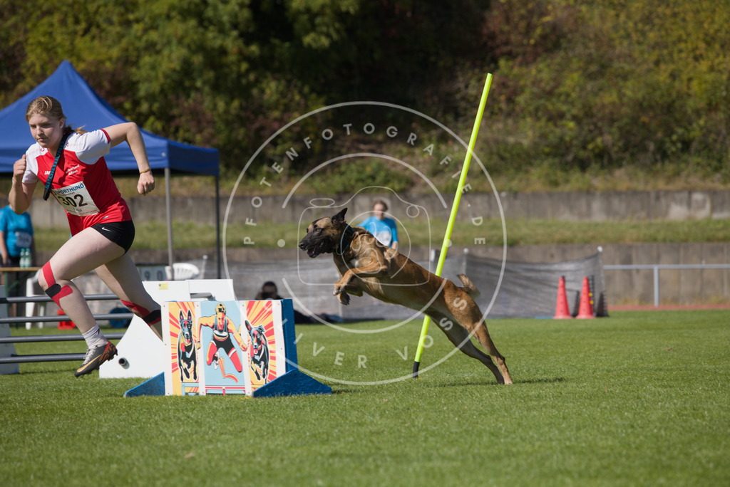 0L8A7565 | Hundefotografie, Tierfotograf, Pfotenfotografie, Fotoshooting Hund, Hunde Portrait, Hundesport, Hundeportraits, Heideshooting, Hunde, Sportfotograf, Hundefotograf, Turnierhundsport, THS,  - Realisiert mit Pictrs.com