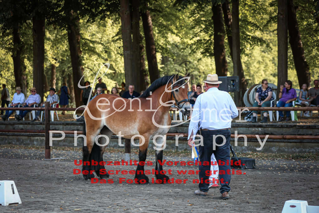 Fr4K00041 | Leoni Ertmer Photography - Realisiert mit Pictrs.com