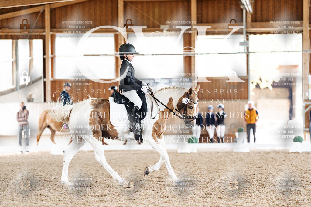 CK900478 | Turnierfotografie Pferdefotografie Trier Rheinland-Pfalz Pferdesport Reitsport Tierfotografie Sportfotografie Pferdevideo Pferdevideografie Equestrianvideography equestrianphotography  - Realisiert mit Pictrs.com