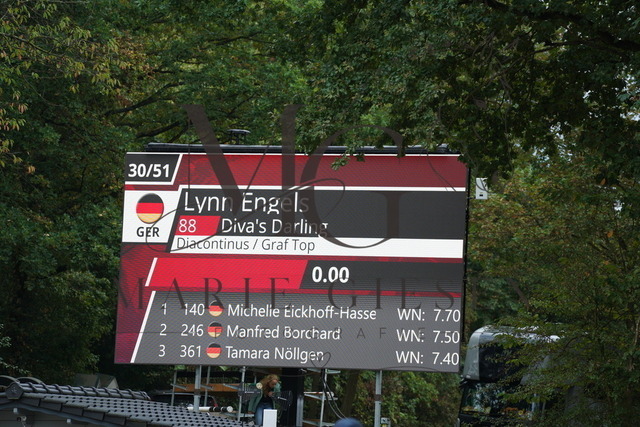 VAN08238 | Pferdefotografie in Köln und Umgebung – emotionale Pferdeshootings, Turnierfotografie und besondere Momente zwischen Pferd und Mensch. - Realisiert mit Pictrs.com