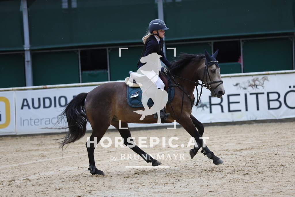 0P6A7101 | Willkommen bei Brunnmayr - Design & Fotografie – Ihrem Spezialisten für Reitturniere und Pferdeveranstaltungen in Oberösterreich, Salzburg und Bayern! Seit über 17 Jahren sind wir leidenschaftlich dabei.