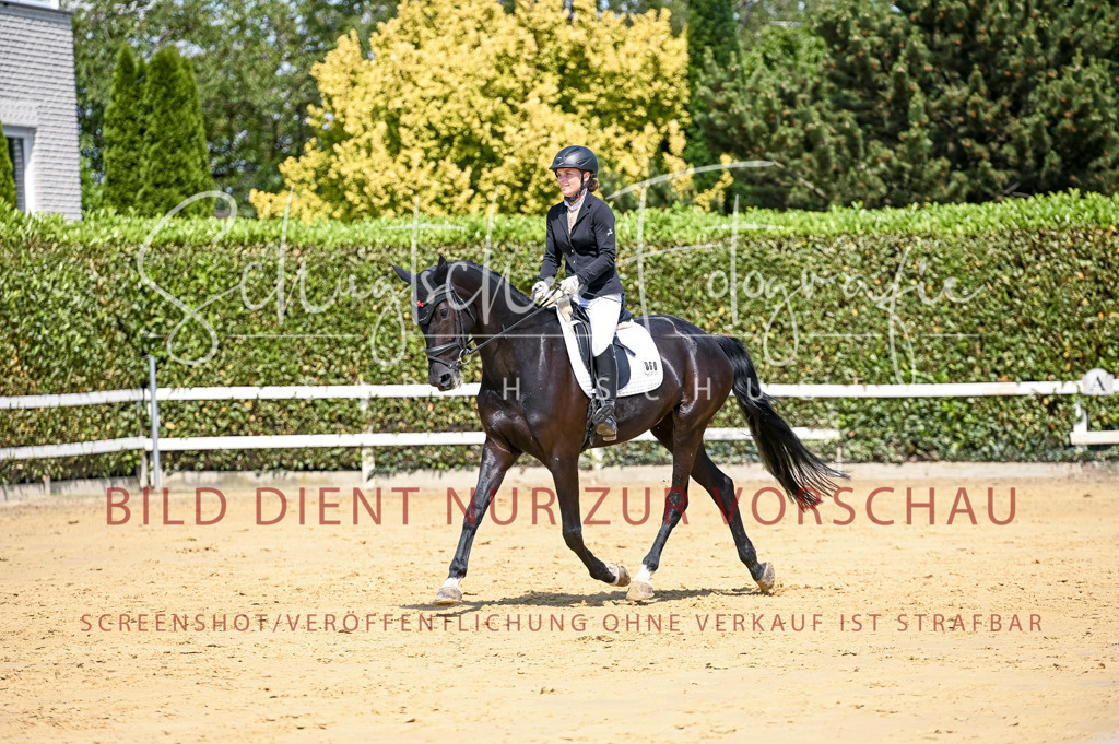 Schugtsche-Aluta25-49.Dressurpferdeprf.A-223 | Schugtsche Fotografie - Realisiert mit Pictrs.com