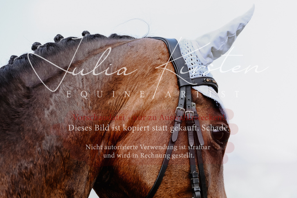 DSC_8048 | Pferde- und Turnierfotografie in Westsachsen. Pferdeportraits, Auftragszeichnungen und intuitive Kunst.