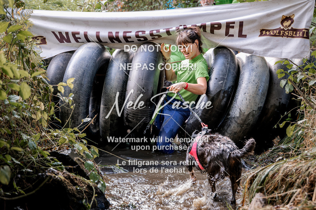 nelerasche_Hunsrück2026_Sa1400-1500_62 | nelerasche