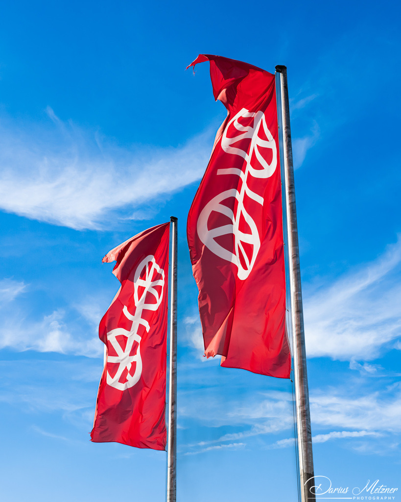 Fahnen mit dem Logo der Stadt Mainz | Fahnen mit dem Logo der Stadt Mainz