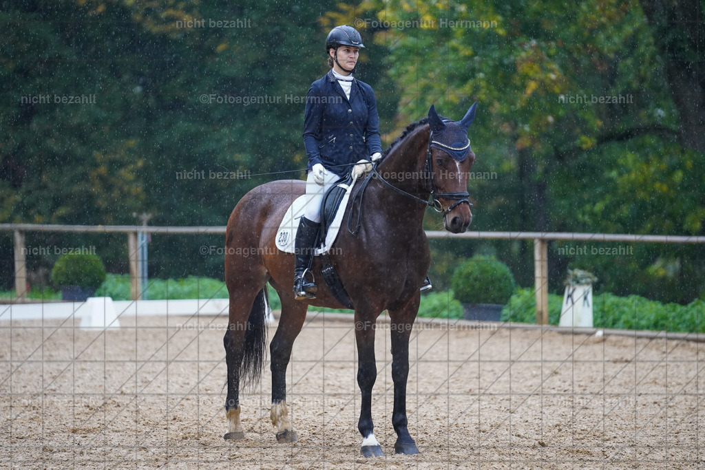 20221008-FAH02101 | Diessen am Ammersee, 2022, Dressur- und Springturnier, Reitsportbilder, Turnierfotografen Bayern, Pferdefotografen, Fotoagentur Herrmann, Turnierbilder