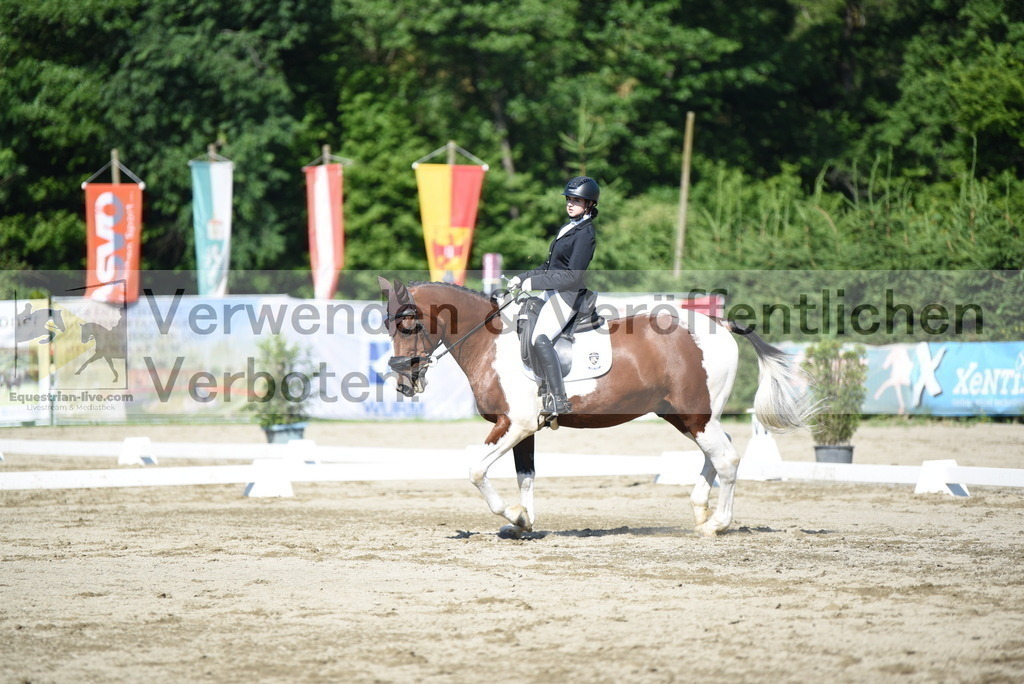 DSC_7691 | equestrian-live-com