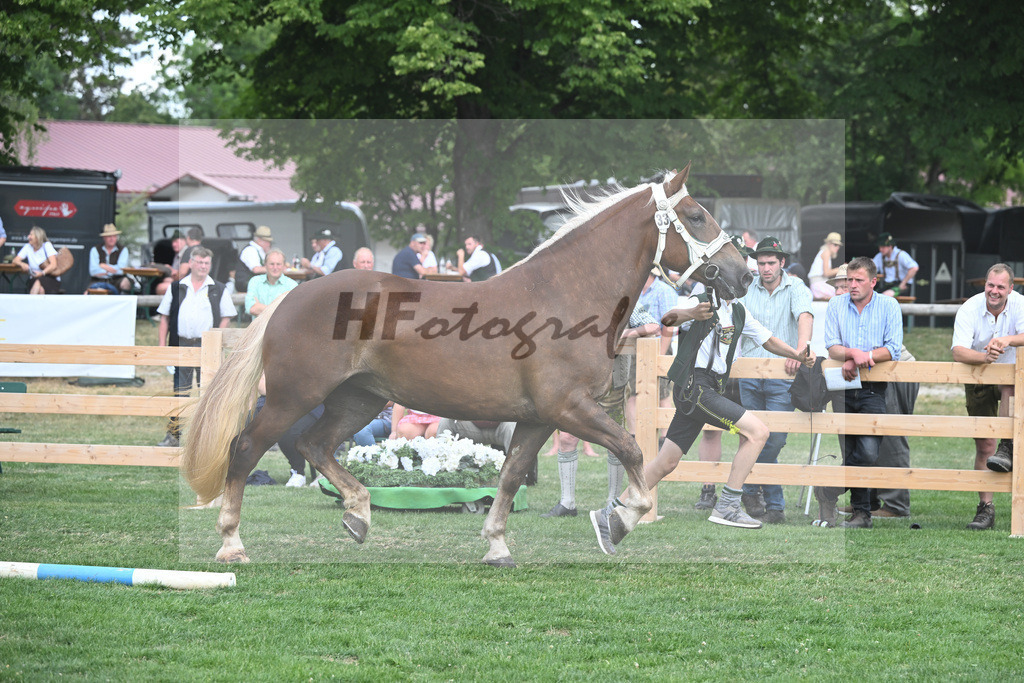Kat-Nr. 33 Zara_Stadler_20230510 | hf-fotografie - Realisiert mit Pictrs.com
