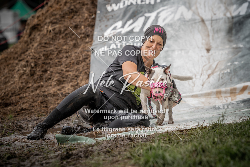 nelerasche_Wingst_Sa1300-1330_145 | nelerasche