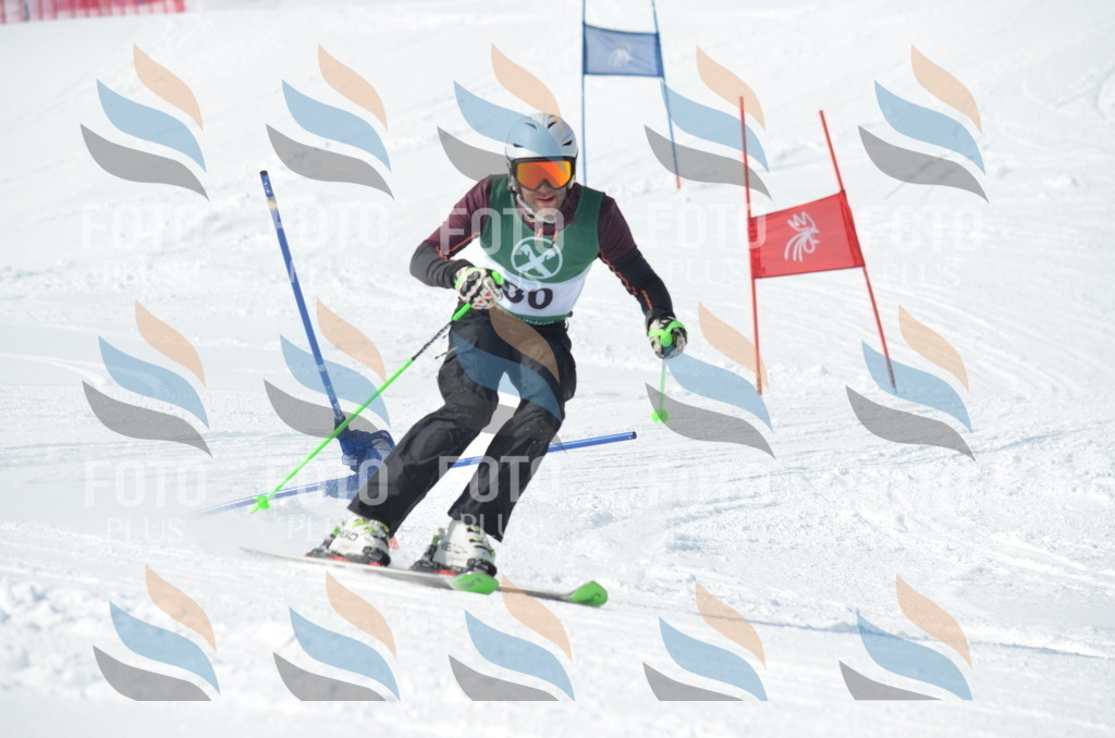 D9008 | holidayphoto