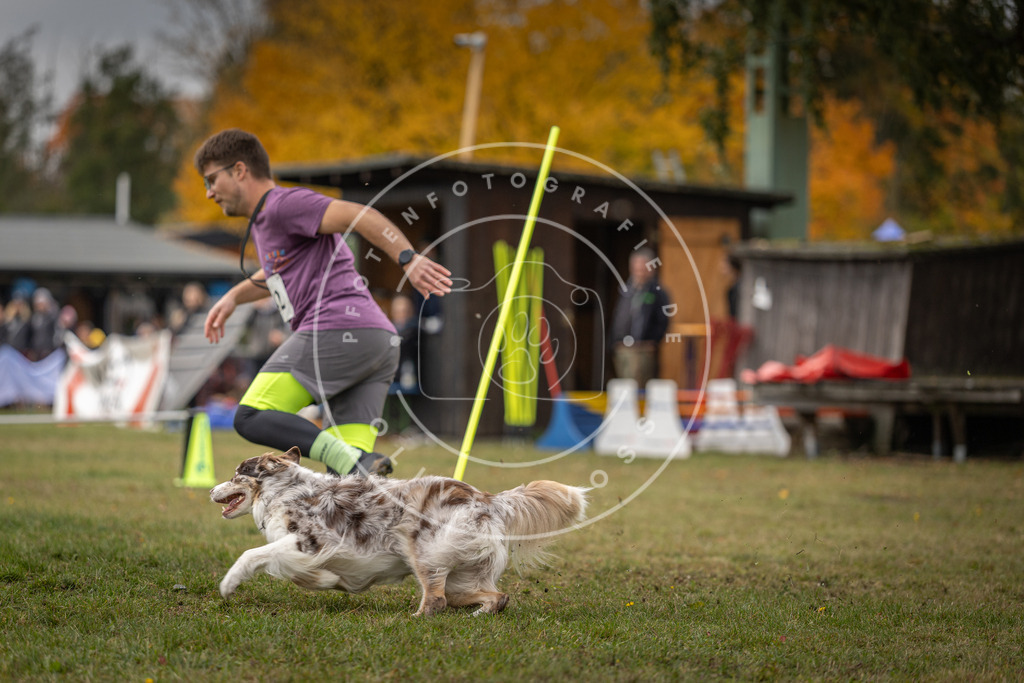 Pfotenfotografie_DV3A7927 | Hundefotografie, Tierfotograf, Pfotenfotografie, Fotoshooting Hund, Hunde Portrait, Hundesport, Hundeportraits, Heideshooting, Hunde, Sportfotograf, Hundefotograf, Turnierhundsport, THS,  - Realisiert mit Pictrs.com
