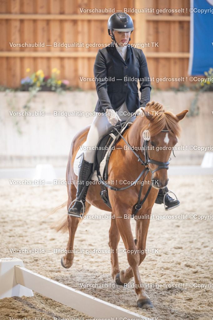 _D5A5507 | Emotionale Pferde- & People-Fotografie rund um Heidelberg, Leimen & Umgebung. Natürliche Fotos von Pferd, Mensch & Familie. Jetzt Termin sichern!