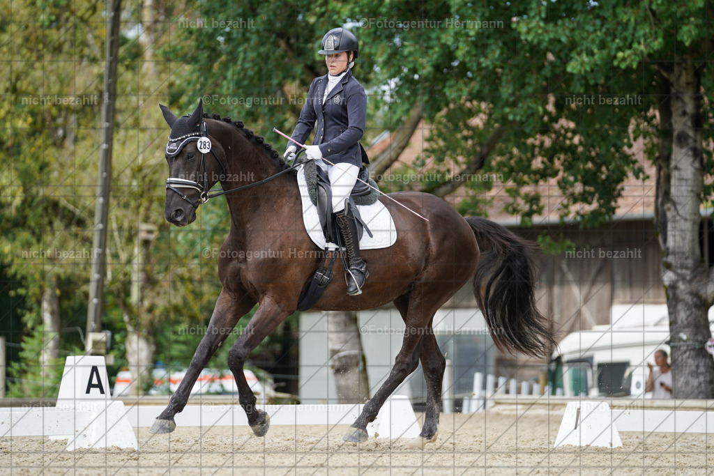 20230826-FAH05234 | Forstinning, 2023, Dressurturnier, Turniersportbilder, Turnierfotografen Bayern, Fotoagentur Herrmann, Reitsportfotografie, Turnierbilder