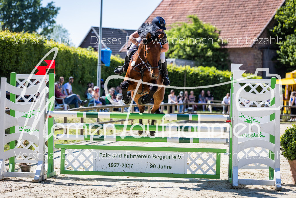 Donop24-M-Spr-051 | MomenTaufnahmen Pferdesportfotos