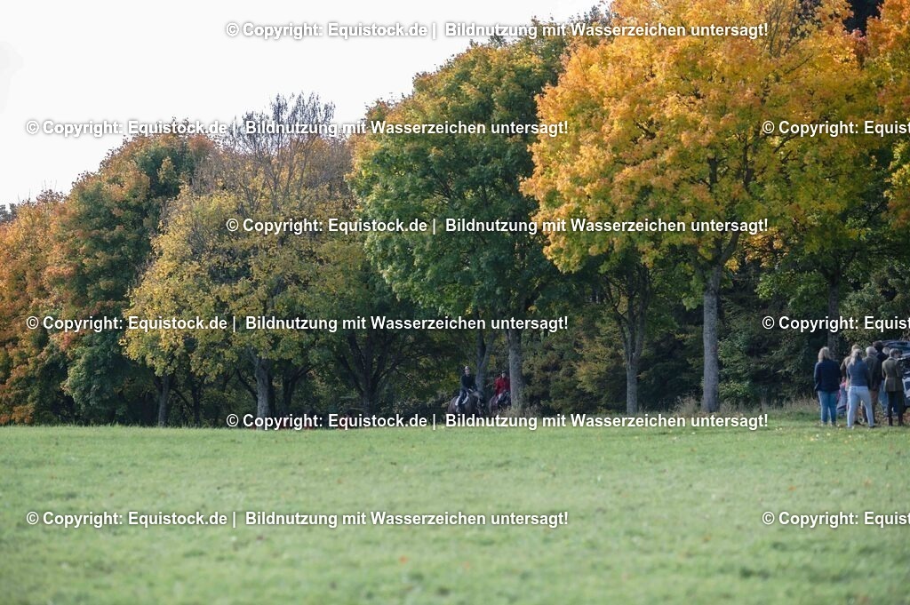 20251011_Jagd-Marbach_0273 | Foto: Thomas Hartig