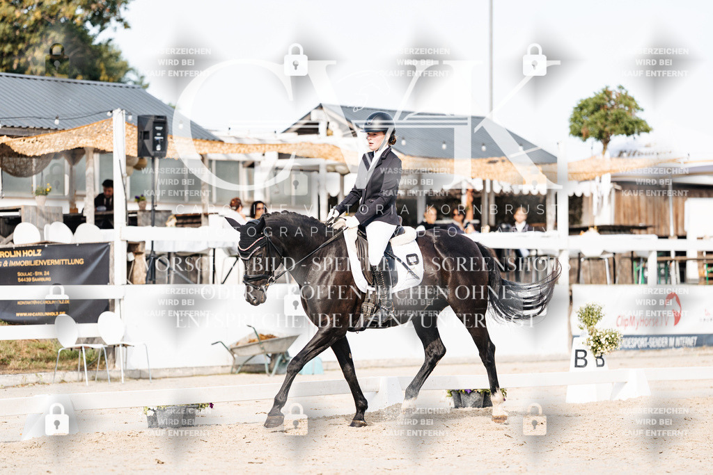 CK905087 | Turnierfotografie Pferdefotografie Trier Rheinland-Pfalz Pferdesport Reitsport Tierfotografie Sportfotografie Pferdevideo Pferdevideografie Equestrianvideography equestrianphotography  - Realisiert mit Pictrs.com