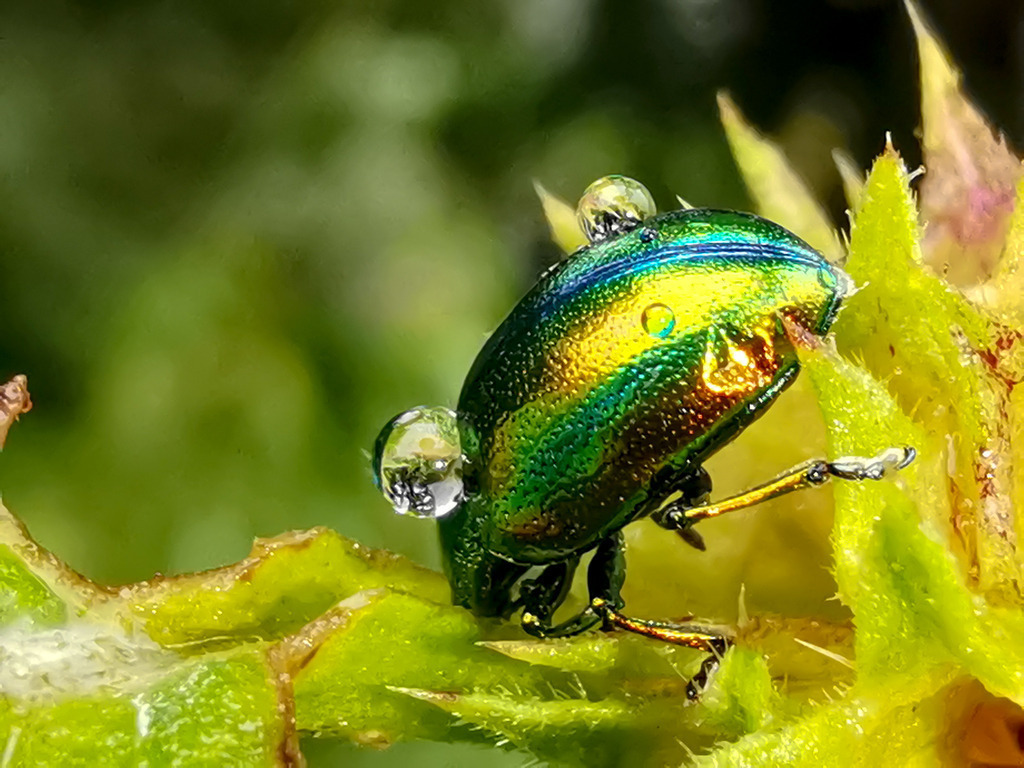 PSX_20230829_224255 | mtkfoto_ - Realisiert mit Pictrs.com