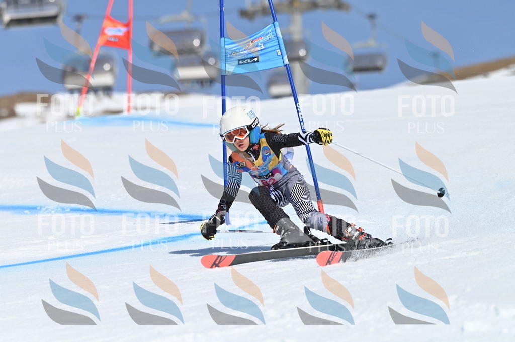 BGV_9105 | holidayphoto