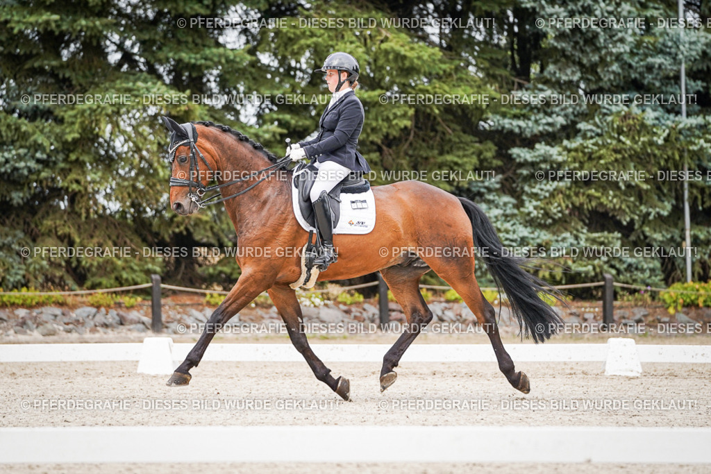 DSC08223 | Pferdegrafie