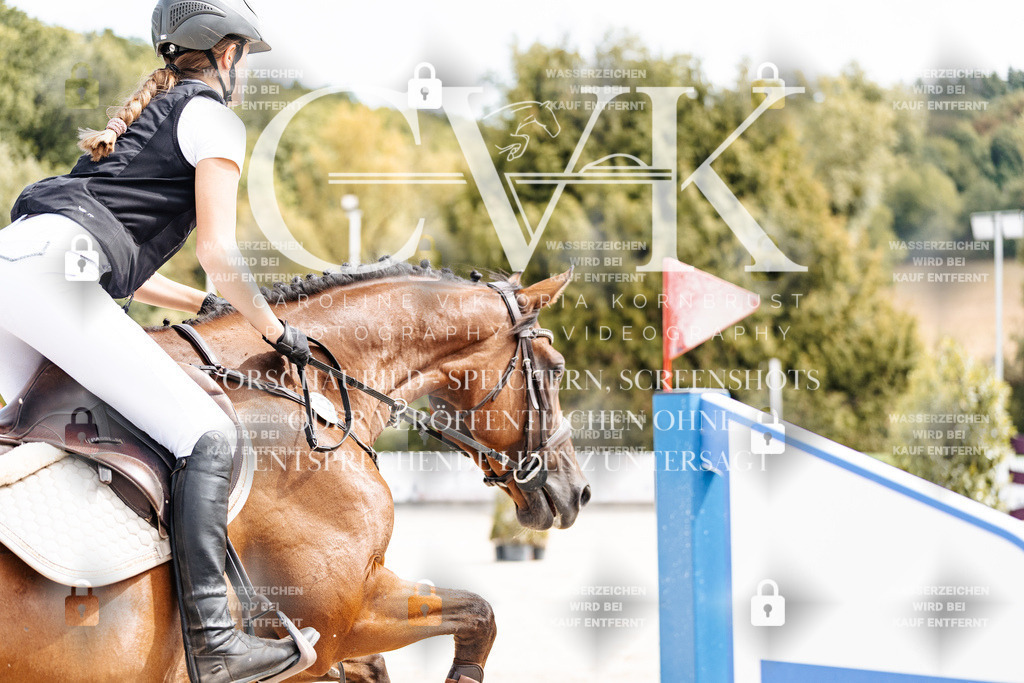 CK906566 | Turnierfotografie Pferdefotografie Trier Rheinland-Pfalz Pferdesport Reitsport Tierfotografie Sportfotografie Pferdevideo Pferdevideografie Equestrianvideography equestrianphotography  - Realisiert mit Pictrs.com