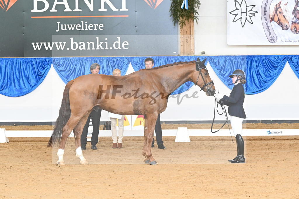 Rieger_Ventigo_10232018 | hf-fotografie - Realisiert mit Pictrs.com
