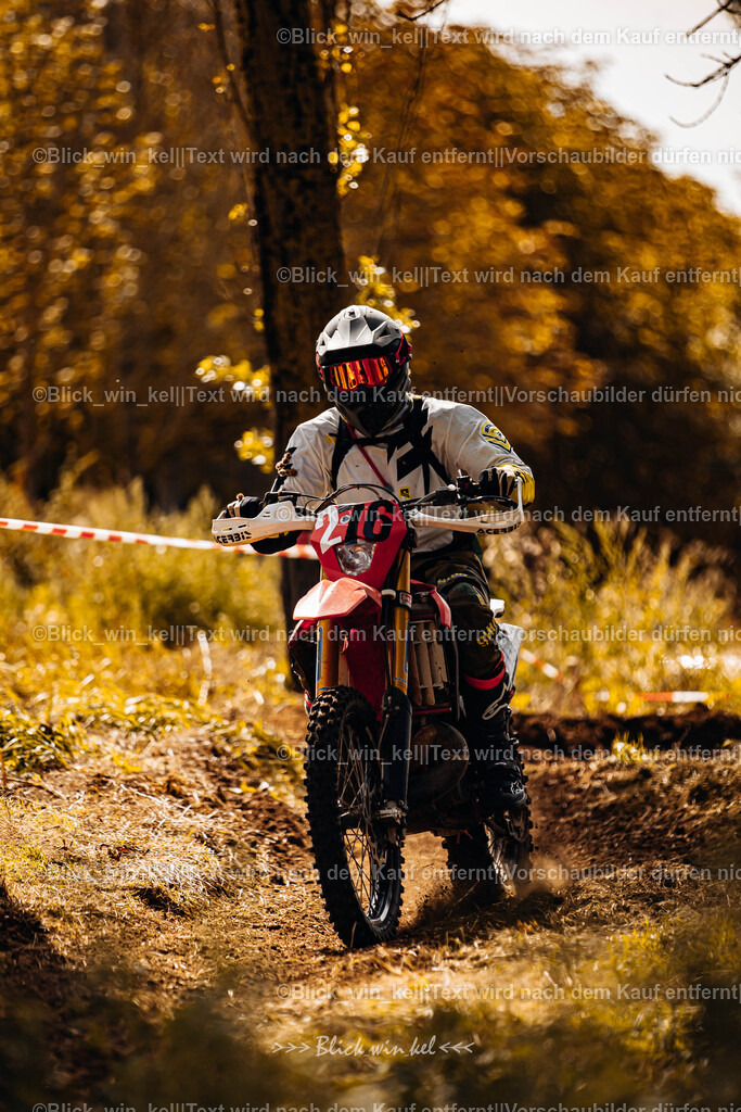 E68A1509 | blick_win_kel