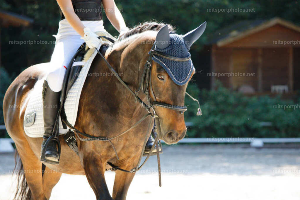 JHE_7360 | JoYa Fotografie - Realisiert mit Pictrs.com