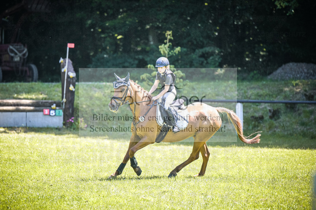 DOS_5546 | Entdecke hochwertige Reitturnierfotos von Foto Oger. Professionell, emotional und authentisch – jetzt Lieblingsmomente im Shop bestellen.Deutschlandweite Turnierfotografie. - Realisiert mit Pictrs.com
