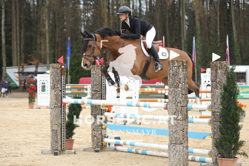 0P6A1158 | Willkommen bei Brunnmayr - Design & Fotografie – Ihrem Spezialisten für Reitturniere und Pferdeveranstaltungen in Oberösterreich, Salzburg und Bayern! Seit über 17 Jahren sind wir leidenschaftlich dabei.