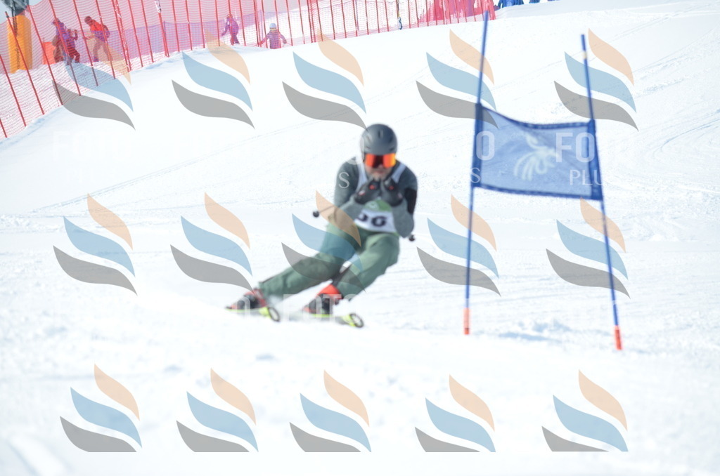 D9043 | holidayphoto