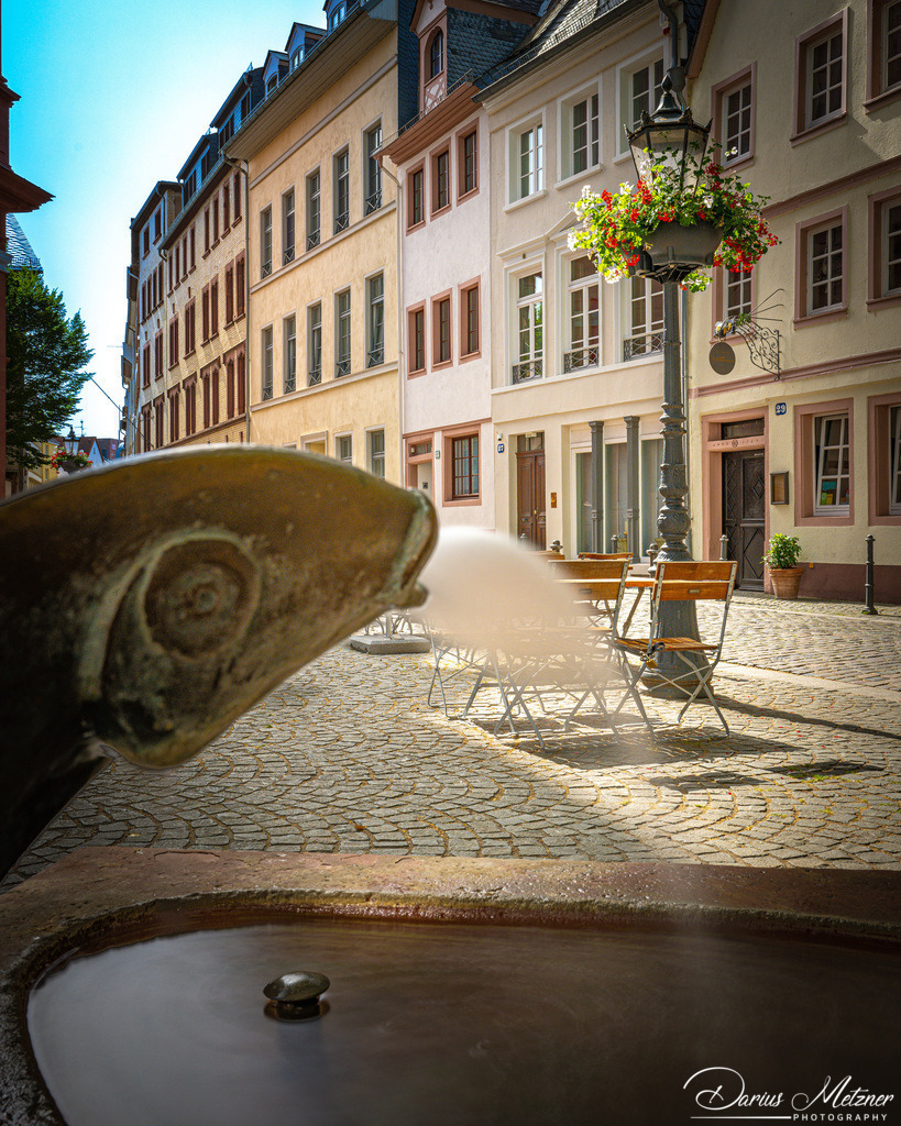 Brunnen mit Fischfigur vor St. Ignaz in Mainz | Brunnen mit Fischfigur vor St. Ignaz in Mainz